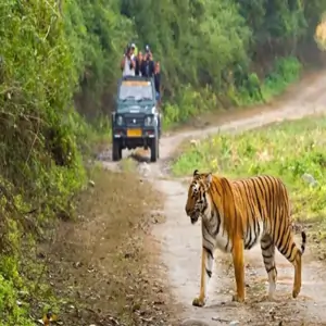 Sitabani Forest Zone